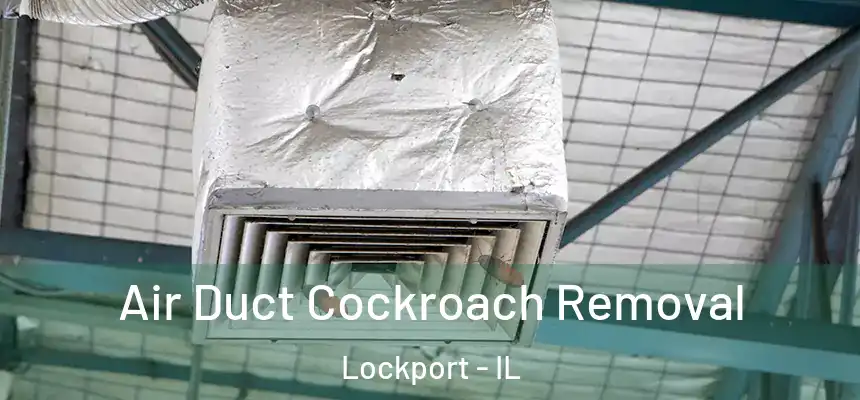 Air Duct Cockroach Removal Lockport - IL