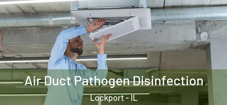 Air Duct Pathogen Disinfection Lockport - IL