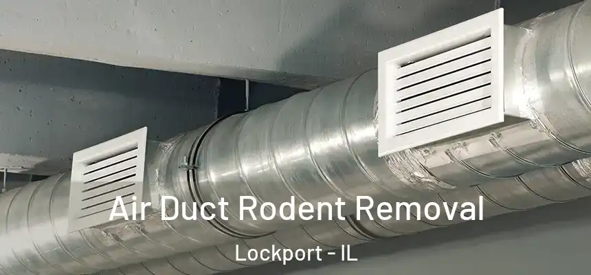 Air Duct Rodent Removal Lockport - IL