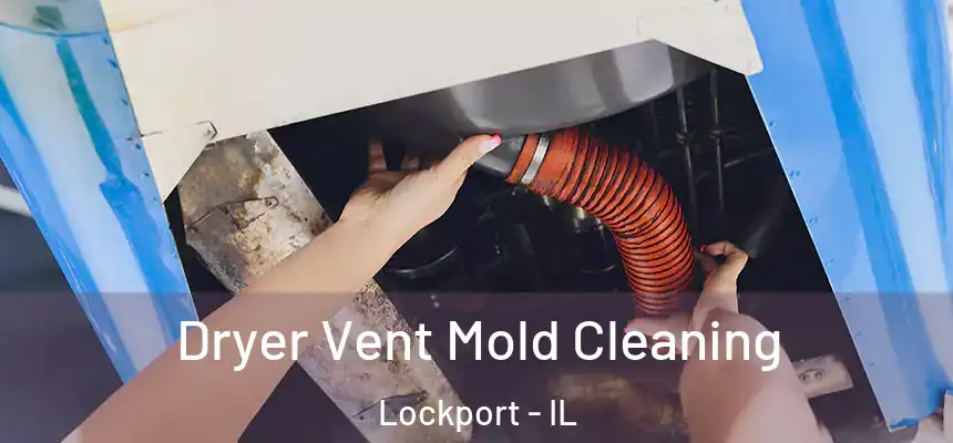 Dryer Vent Mold Cleaning Lockport - IL