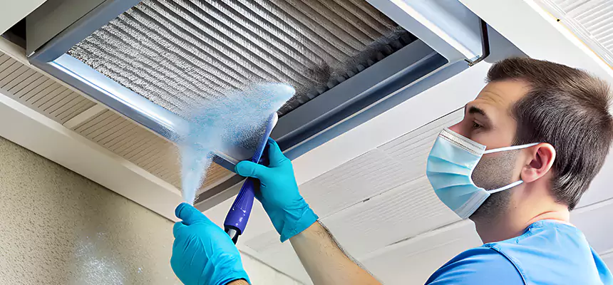 Proactive Dryer Vent & Auxiliary Duct Pollen Cleanup in Lockport, IL