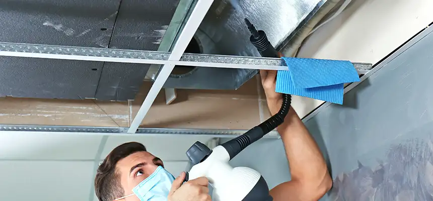 Our Air Duct Rodent Removal Services in Lockport, IL