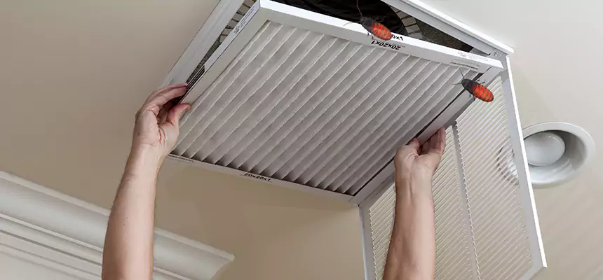 Our Insect Removal from Air Ducts Services in Lockport, IL