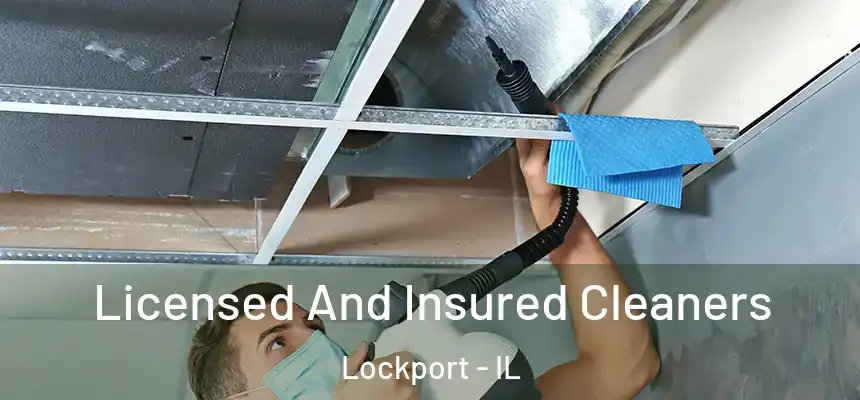  Licensed And Insured Cleaners Lockport - IL