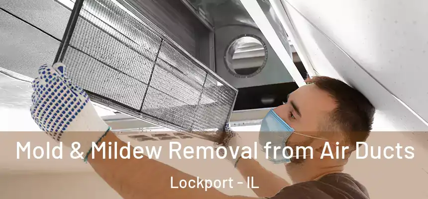 Mold & Mildew Removal from Air Ducts Lockport - IL