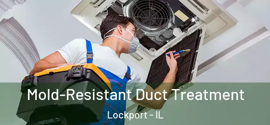  Mold-Resistant Duct Treatment Lockport - IL
