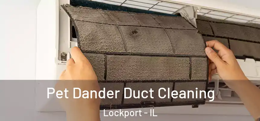 Pet Dander Duct Cleaning Lockport - IL