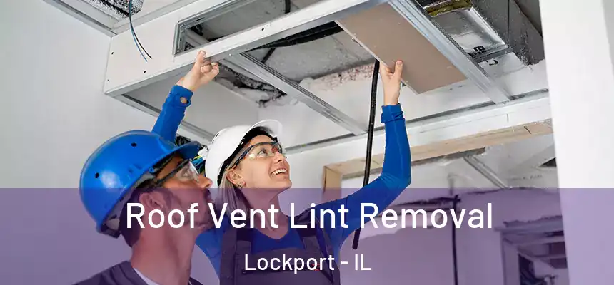  Roof Vent Lint Removal Lockport - IL