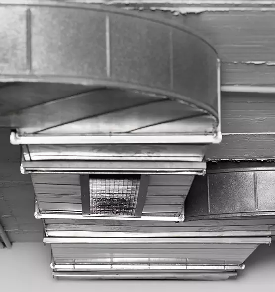 Professional Air Duct Pest Removal in Lockport, IL