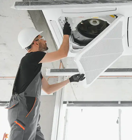 About Air Duct Rodent Removal in Lockport, IL