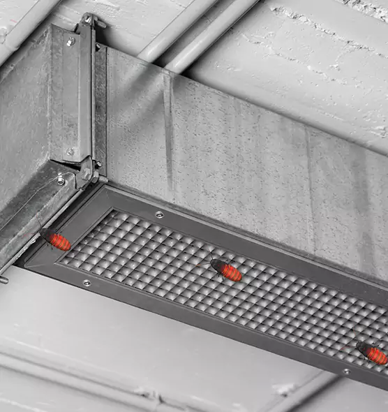 Affordable Insect Removal from Air Ducts in Lockport, IL