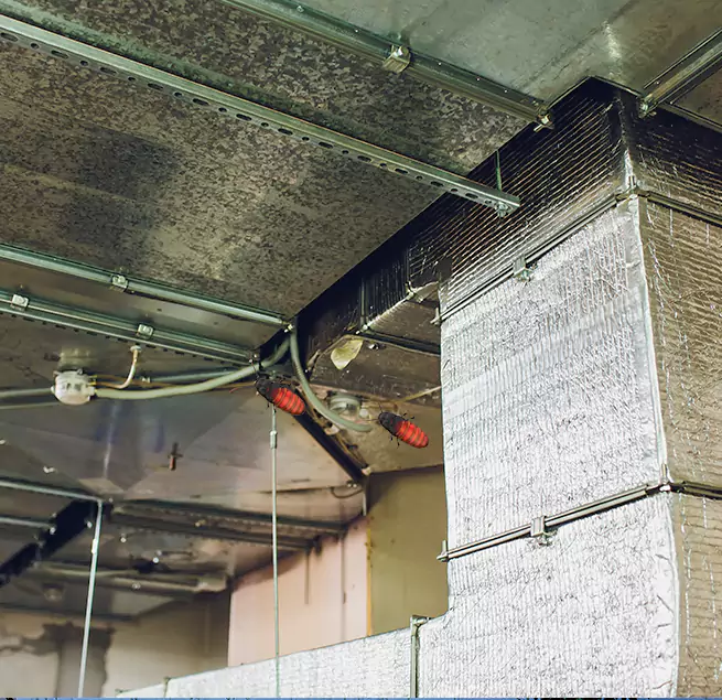 Why Homeowners & Businesses Trust Us in Lockport, IL?