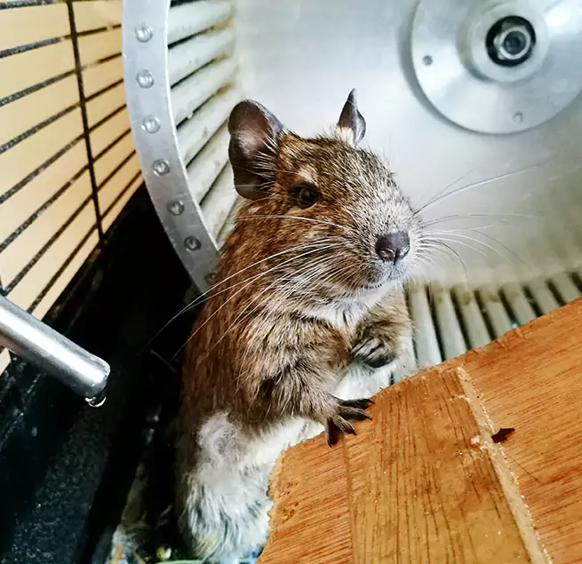 Why Homeowners & Businesses Trust Us Lockport, IL