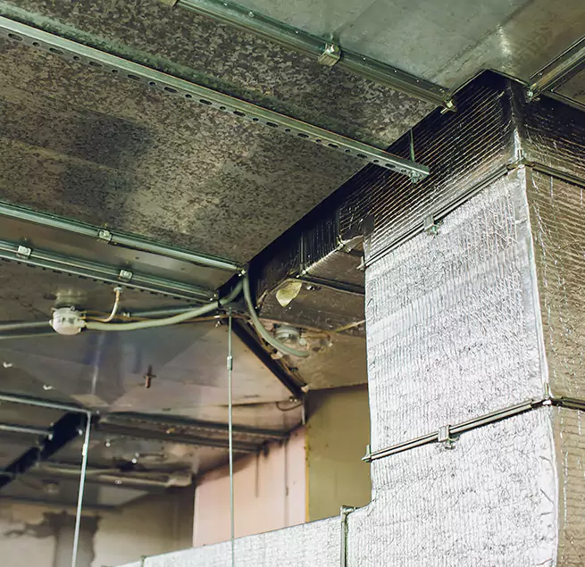 Why Homeowners & Businesses Trust Us in Lockport, IL?